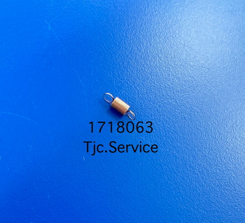EXTENSION SPRING,0.137 (1718063) L3110 L5290 M2050